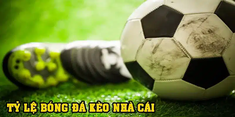 Không all in vào một cửa