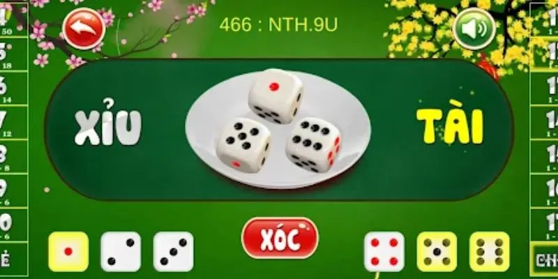 Nên cân nhắc kỹ 